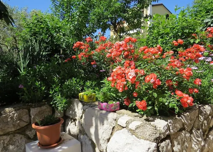 Apartament Radanović-beaches 5 Min Walking *