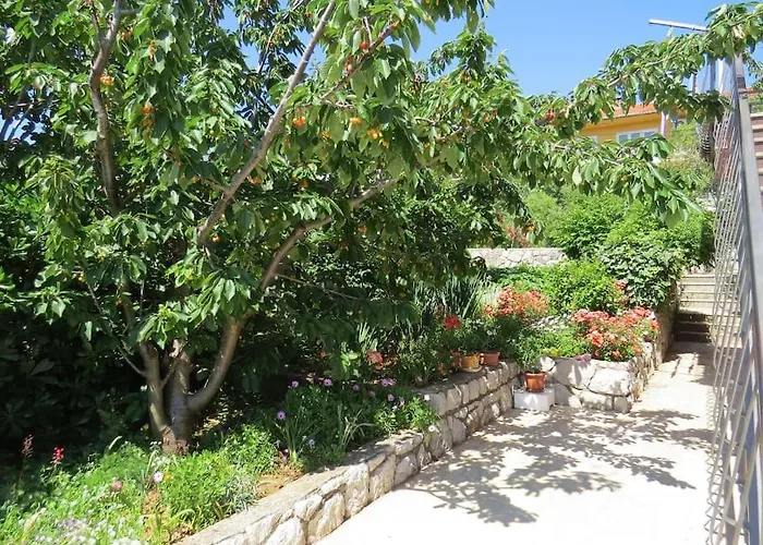 Radanović-beaches 5 Min Walking Apartament Cres