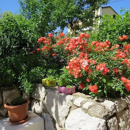 Apartment Radanovic-beaches 5 Min Walking *