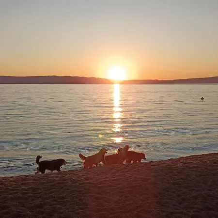 Radanovic-beaches 5 Min Walking * Cres
