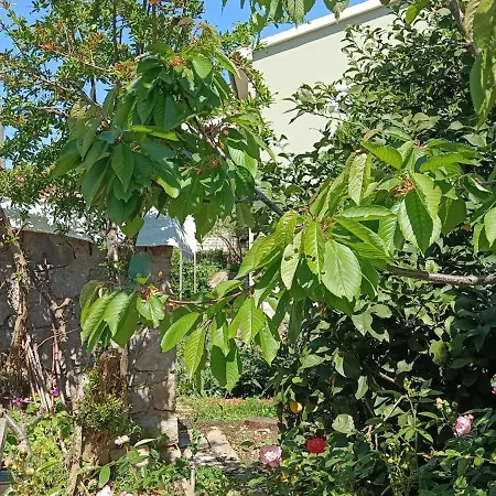 Radanovic-beaches 5 Min Walking Cres