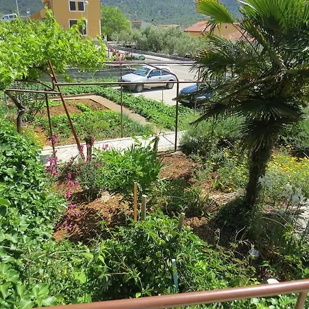 Radanovic-beaches 5 Min Walking Apartamento *